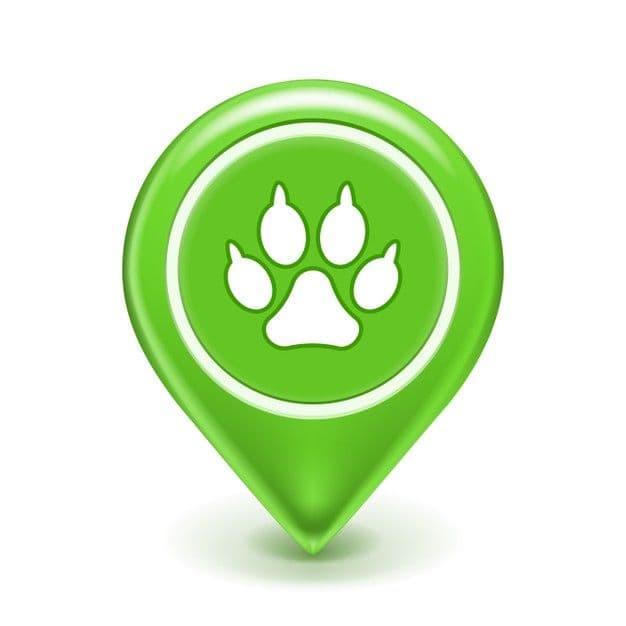 Location-Based Matchmaking